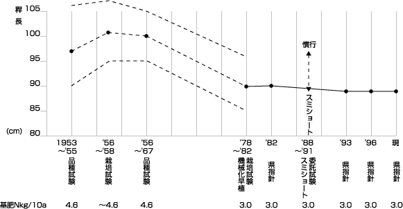 國武先生のコシヒカリ物語 第３話変化させてきたコシヒカリの稲姿 住友化学 I 農力 みんなの広場