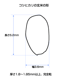 図：奨励品種特性表の粒形(18府県）