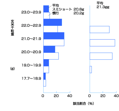 図：場所による千粒重の変化