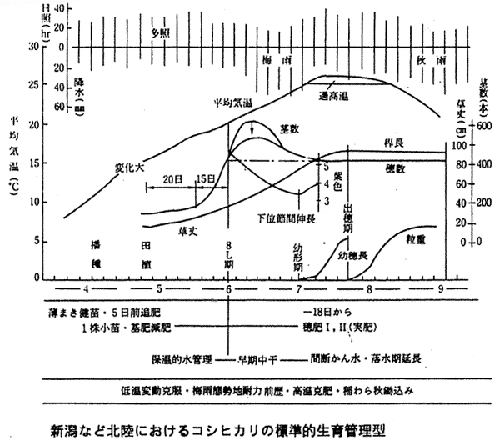 図：新潟など北陸におけるコシヒカリの標準的生育管理型