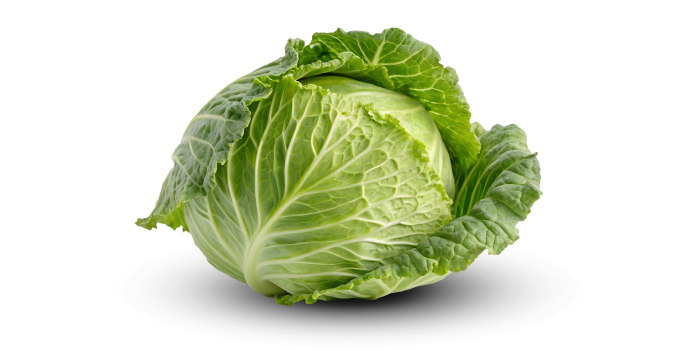 キャベツ