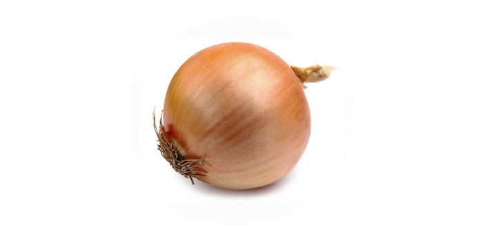 たまねぎ