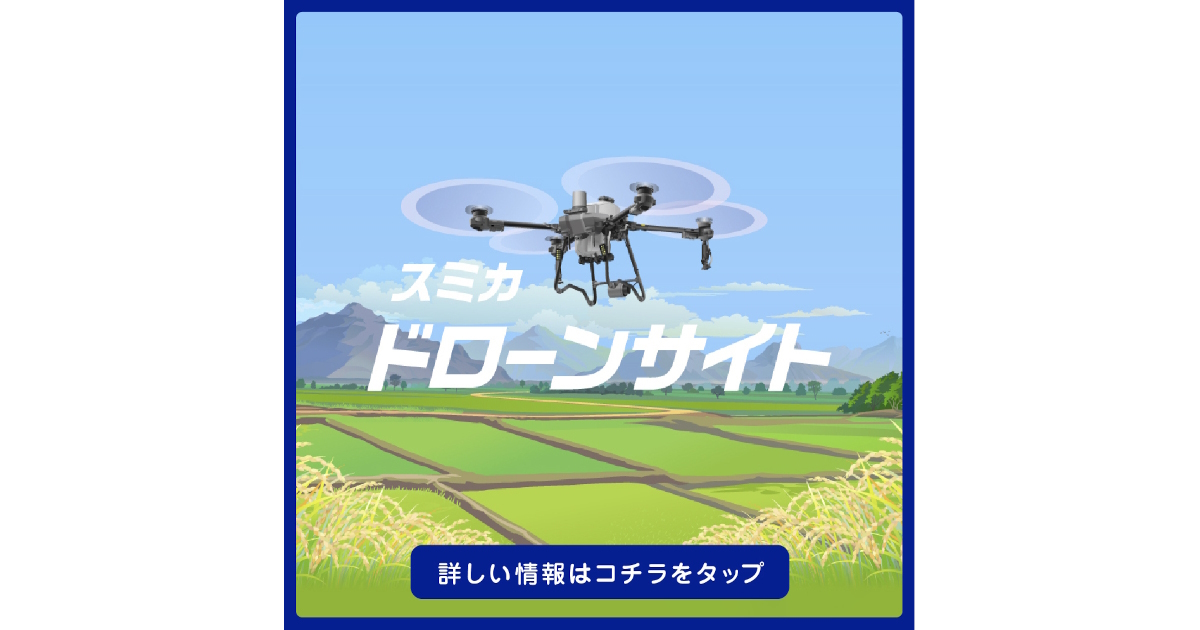 応用が拡がるＤＤＳ 人体環境から農業・家電まで/エヌ・ティ-・エス/寺田弘（薬学）（単行本） 応用が拡がるDDS―人体環境から農業・家電まで [単行本] 中川晋作