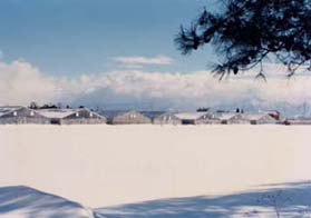 写真：雪国でも立派なハウス（新潟県豊栄市黒山地区）