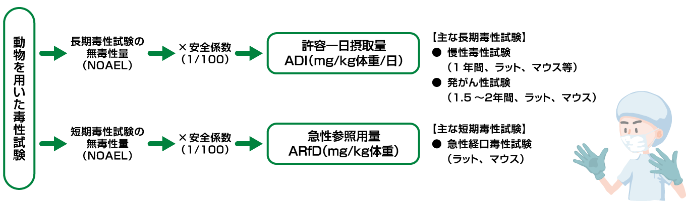 一日摂取許容量（ADI）を求めるまで