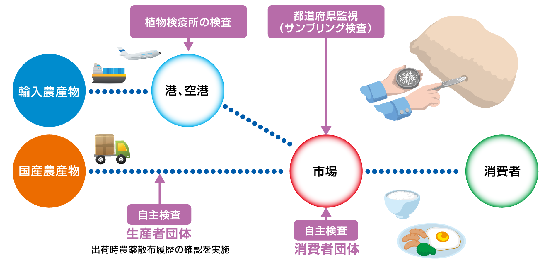 残留農薬の監視体制