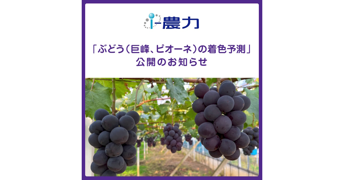 ぶどう（巨峰、ピオーネ）の着色予測ツール | 住友化学 i-農力