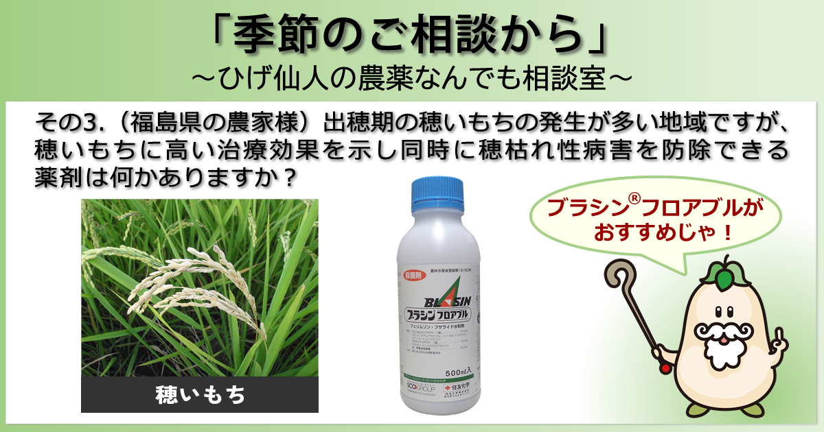 【「季節のご相談から」　～ひげ仙人の農薬なんでも相談室～】その３．（福島県の農家様）出穂期の穂いもちの発生が多い地域ですが、穂いもちに高い治療効果を示し同時に穂枯れ性病害を防除できる薬剤は何かありますか？