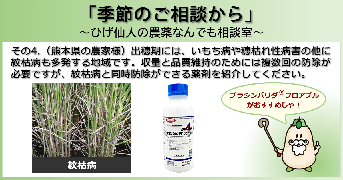 【「季節のご相談から」　～ひげ仙人の農薬なんでも相談室～】その4．（熊本県の農家様）出穂期には、いもち病や穂枯れ性病害の他に紋枯病も多発する地域です。収量と品質維持のためには複数回の防除が必要ですが、紋枯病と同時防除ができる薬剤を紹介してください。