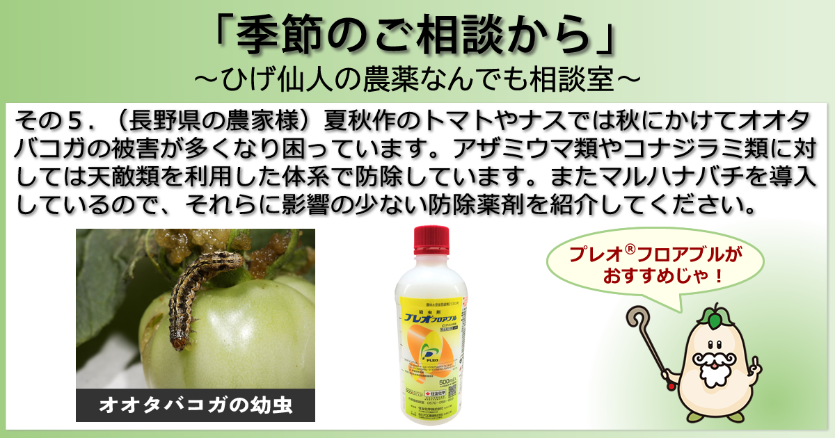 【「季節のご相談から」　～ひげ仙人の農薬なんでも相談室～】その５．（長野県の農家様）夏秋作のトマトやナスでは秋にかけてオオタバコガの被害が多くなり困っています。アザミウマ類やコナジラミ類に対しては天敵類を利用した体系で防除しています。またマルハナバチを導入しているので、それらに影響の少ない防除薬剤を紹介してください。