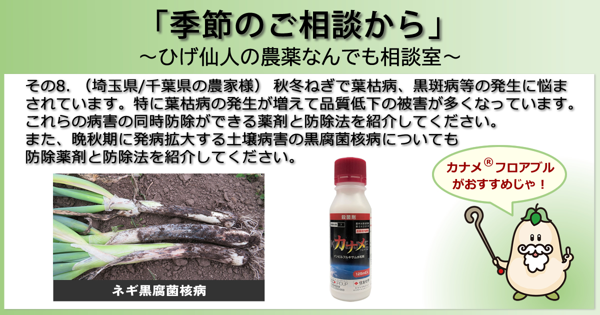 【「季節のご相談から」　～ひげ仙人の農薬なんでも相談室～】その８．（埼玉県/千葉県の農家様）秋冬ねぎで葉枯病、黒斑病等の発生に悩まされています。特に葉枯病の発生が増えて品質低下の被害が多くなっています。これらの病害の同時防除ができる薬剤と防除法を紹介してください。また、晩秋期に発病拡大する土壌病害の黒腐菌核病についても防除薬剤と防除法を紹介してください。