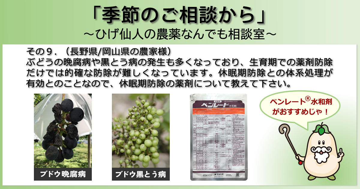 【「季節のご相談から」　～ひげ仙人の農薬なんでも相談室～】その９．（長野県/岡山県の農家様）ぶどうの晩腐病や黒とう病の発生も多くなっており、生育期での薬剤防除だけでは的確な防除が難しくなっています。休眠期防除との体系処理が有効とのことなので、休眠期防除の薬剤について教えて下さい。