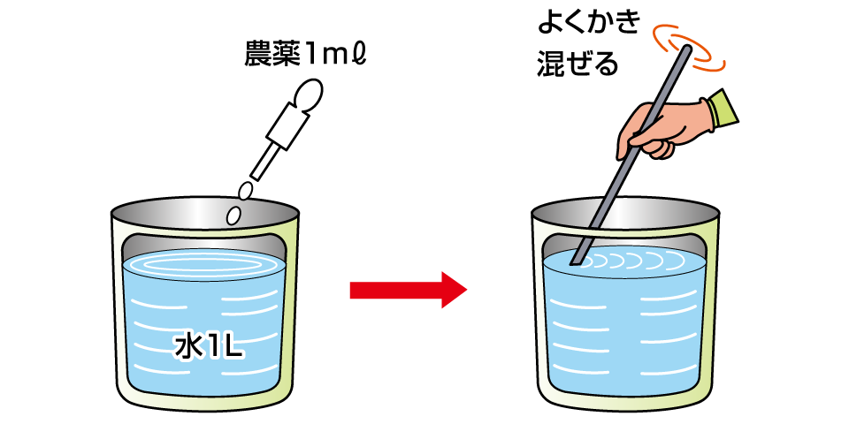 乳剤の1000倍液の作り方