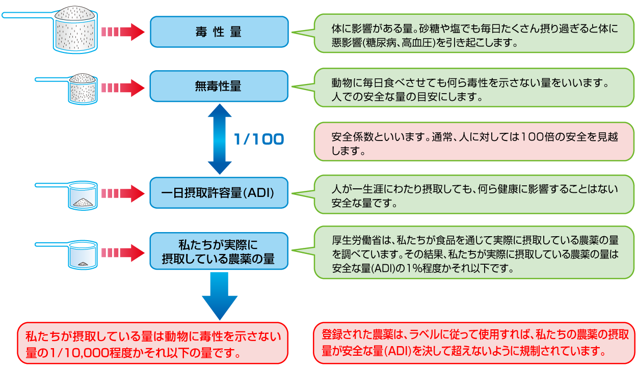 農薬の摂取量と安全性