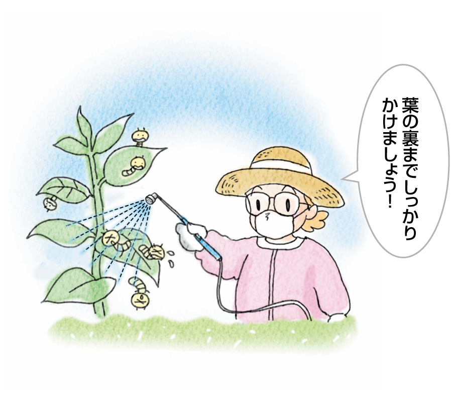 さあ、散布!どんなことに気をつけたらいいの?