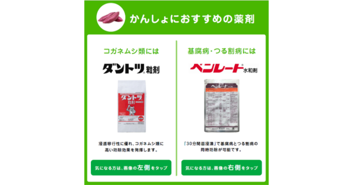 ダントツ粒剤の詳細情報 | 住友化学 i-農力