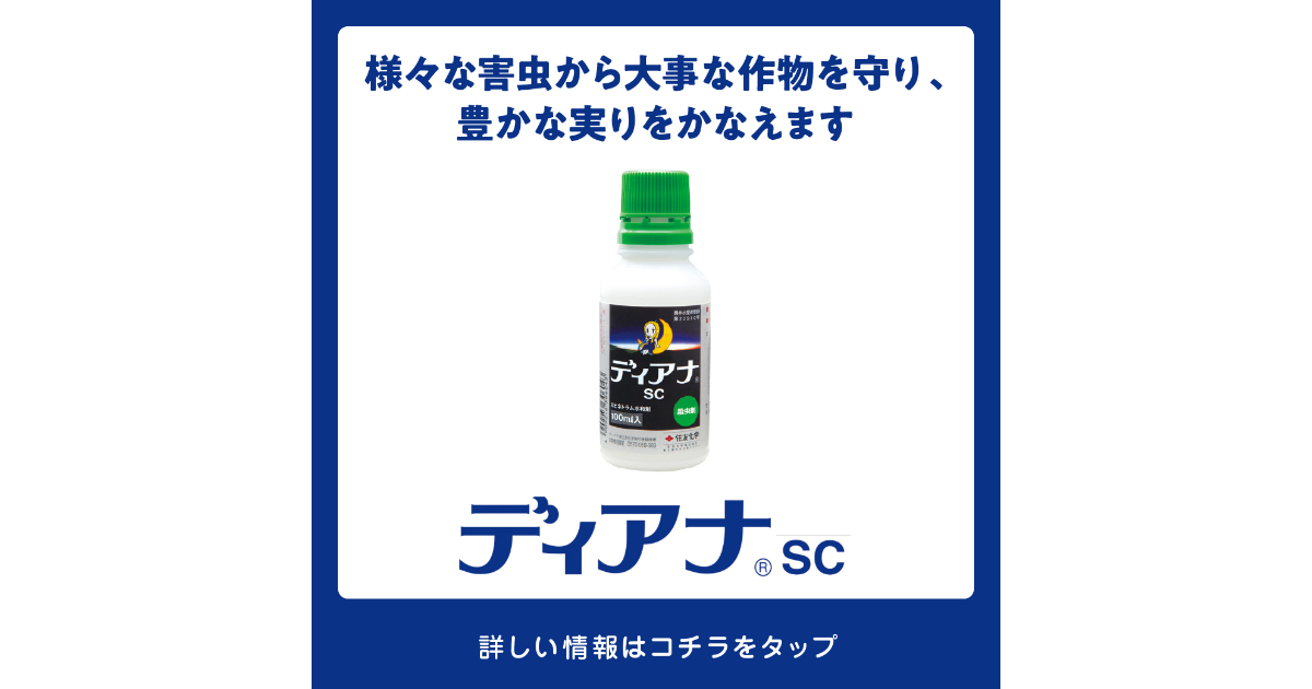 ディアナsc 100ml 5本 殺虫剤 | RUS-PRINT.RU