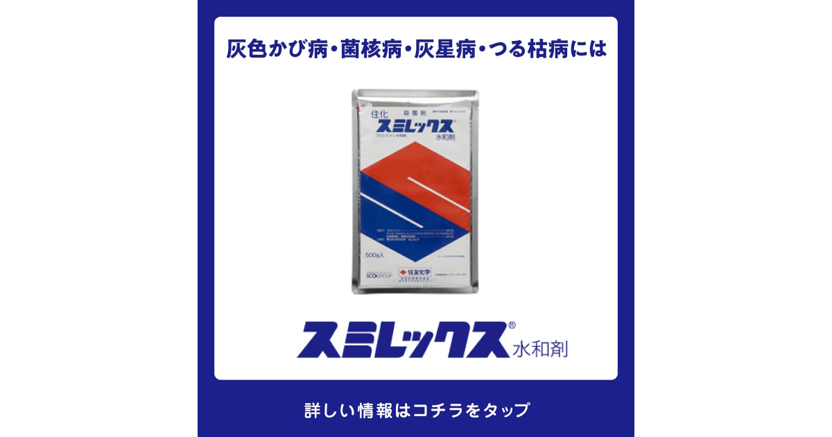 スミレックス水和剤の詳細情報 | 住友化学 i-農力