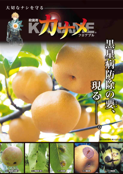 カナメフロアブルの詳細情報 住友化学 I 農力 カナメフロアブルの詳細情報 住友化学 I 農力