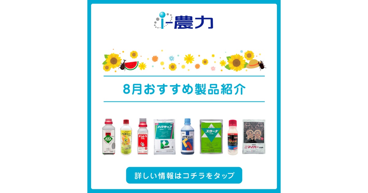 すもも がらり 農薬不使用 10kg がらり(すもも) 2kg 鹿児島県産 加工用 化学肥料・農薬不使用