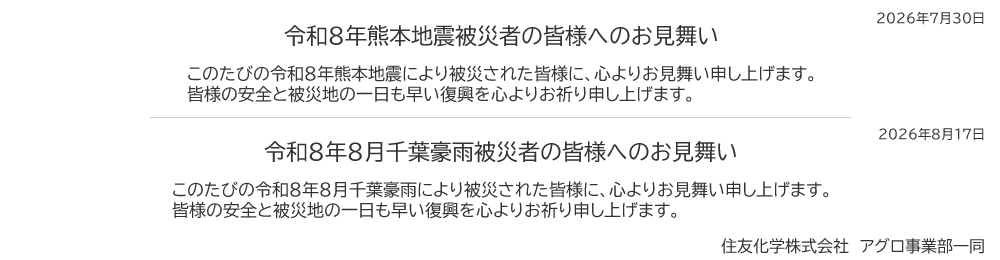 令和８年熊本地震_千葉豪雨お見舞い文