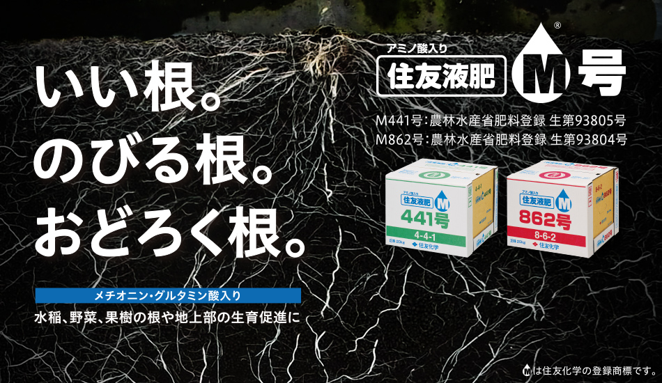 住友液肥ｍ号 住友化学 I 農力 おすすめ製品