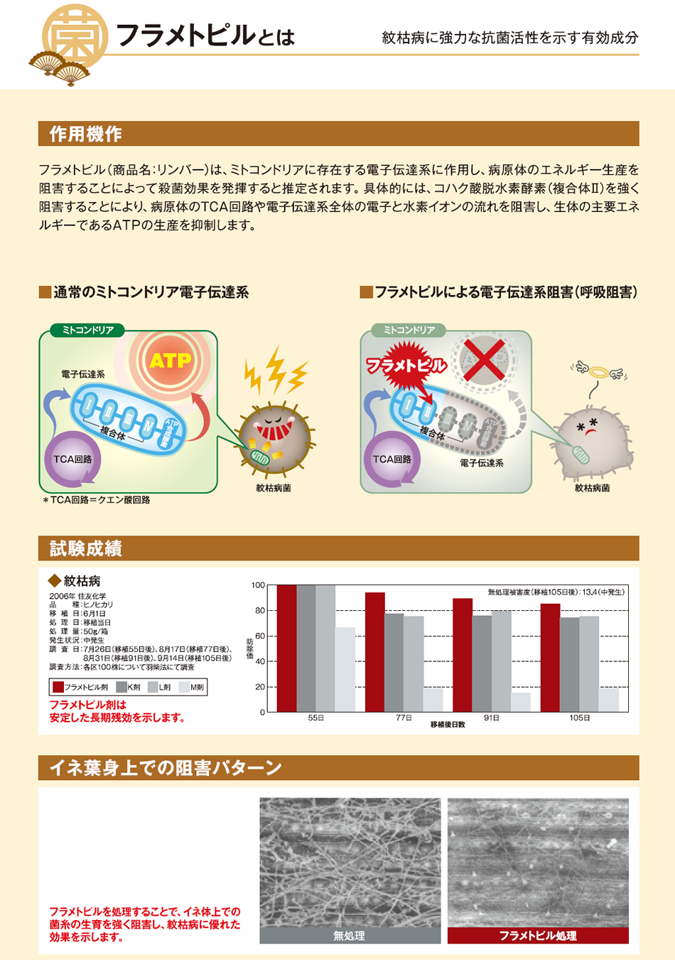 フラメトピルとは