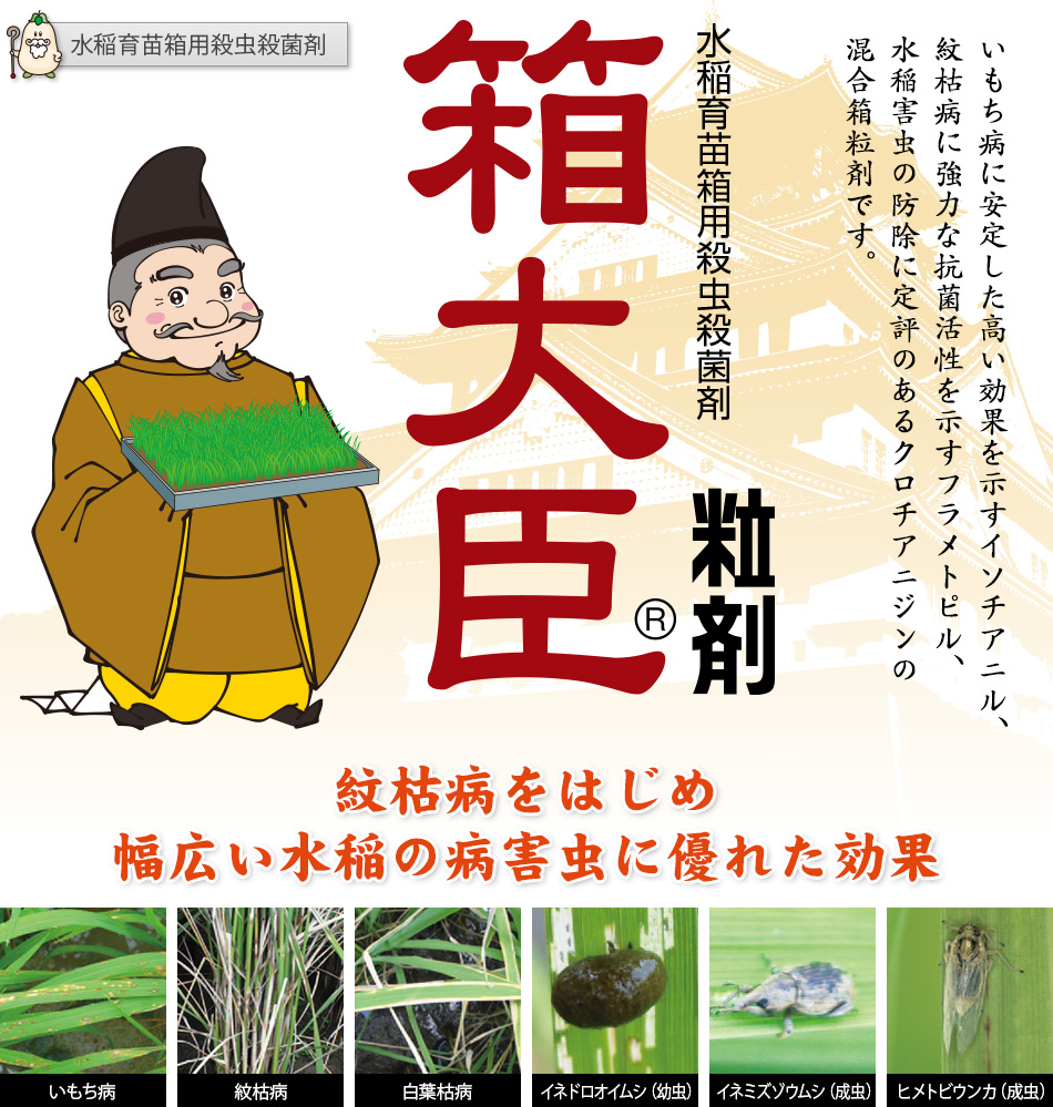 箱大臣粒剤