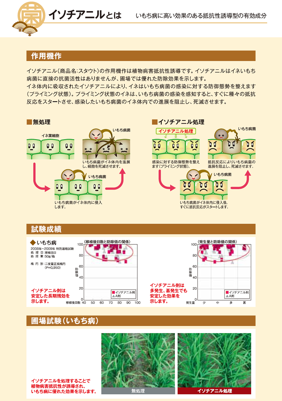 イソチアニルとは