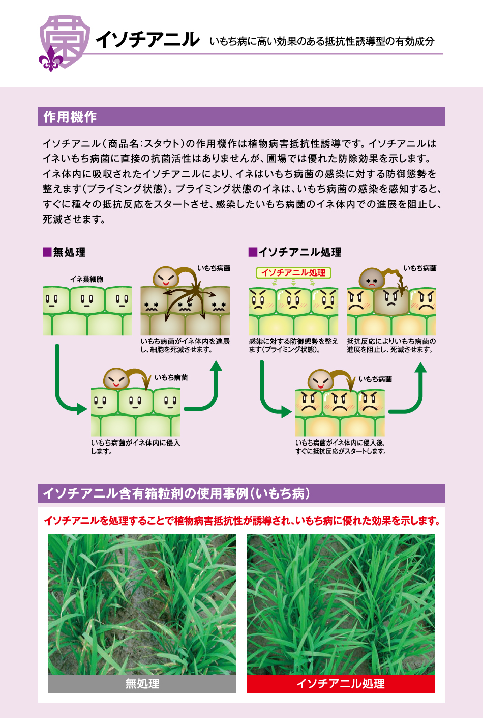 イソチアニルとは