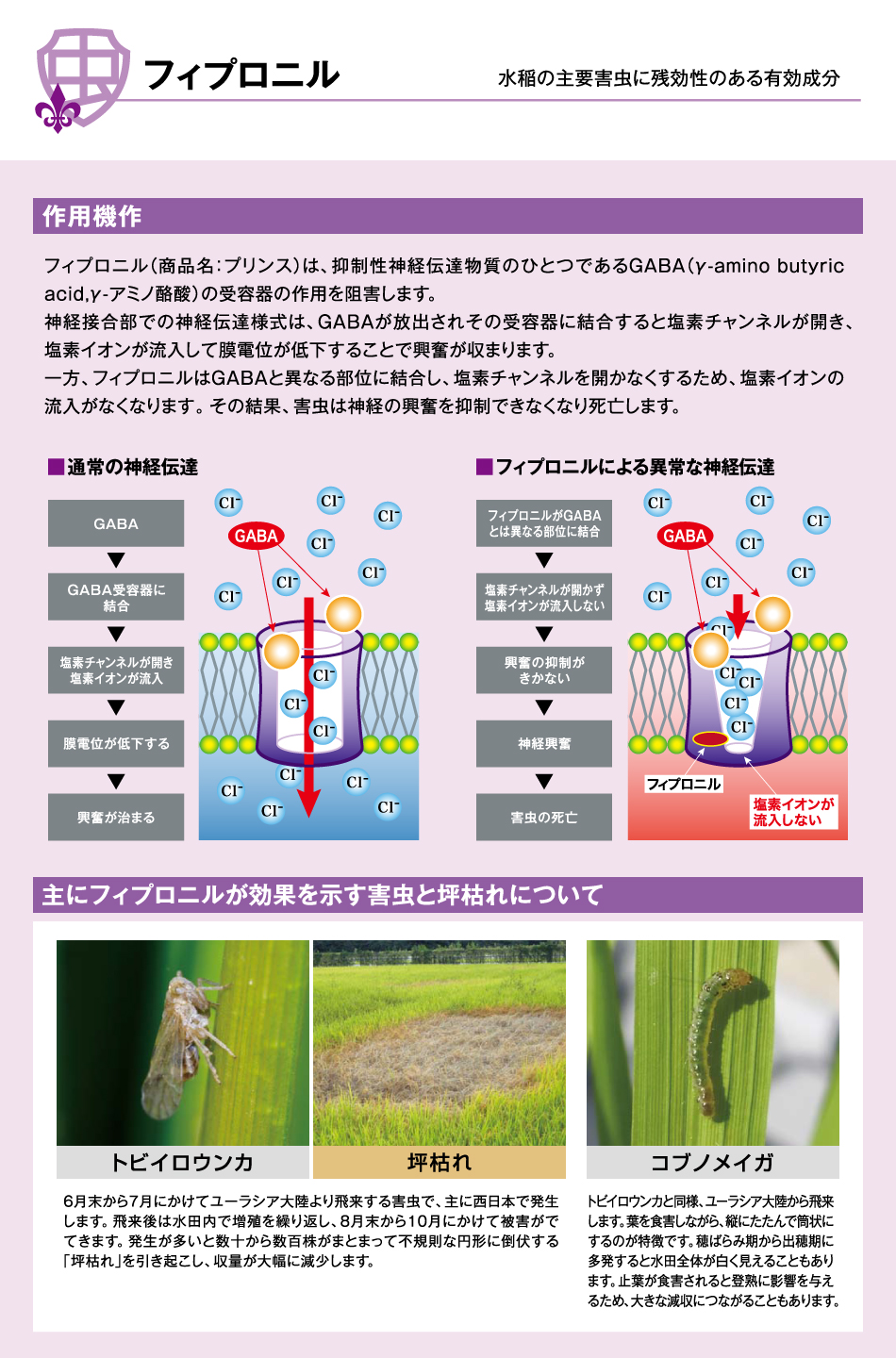 フィプロニルとは