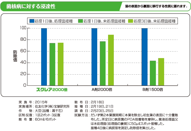 図：菌核病に対する浸達性　葉の表面から裏面に移行する性質に優れます。