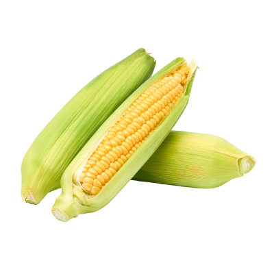 未成熟とうもろこし